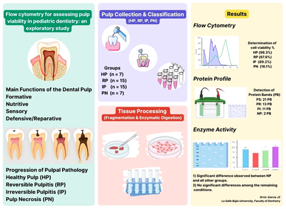 Graphical Abstract